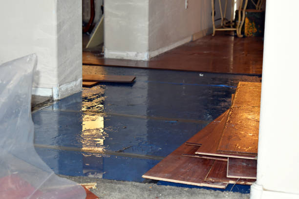 Professional Water Extraction technician working in Portola Valley, CA